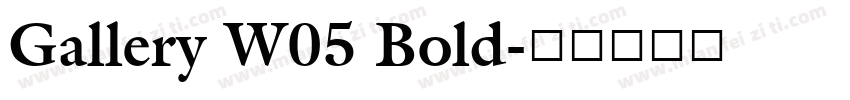 Gallery W05 Bold字体转换